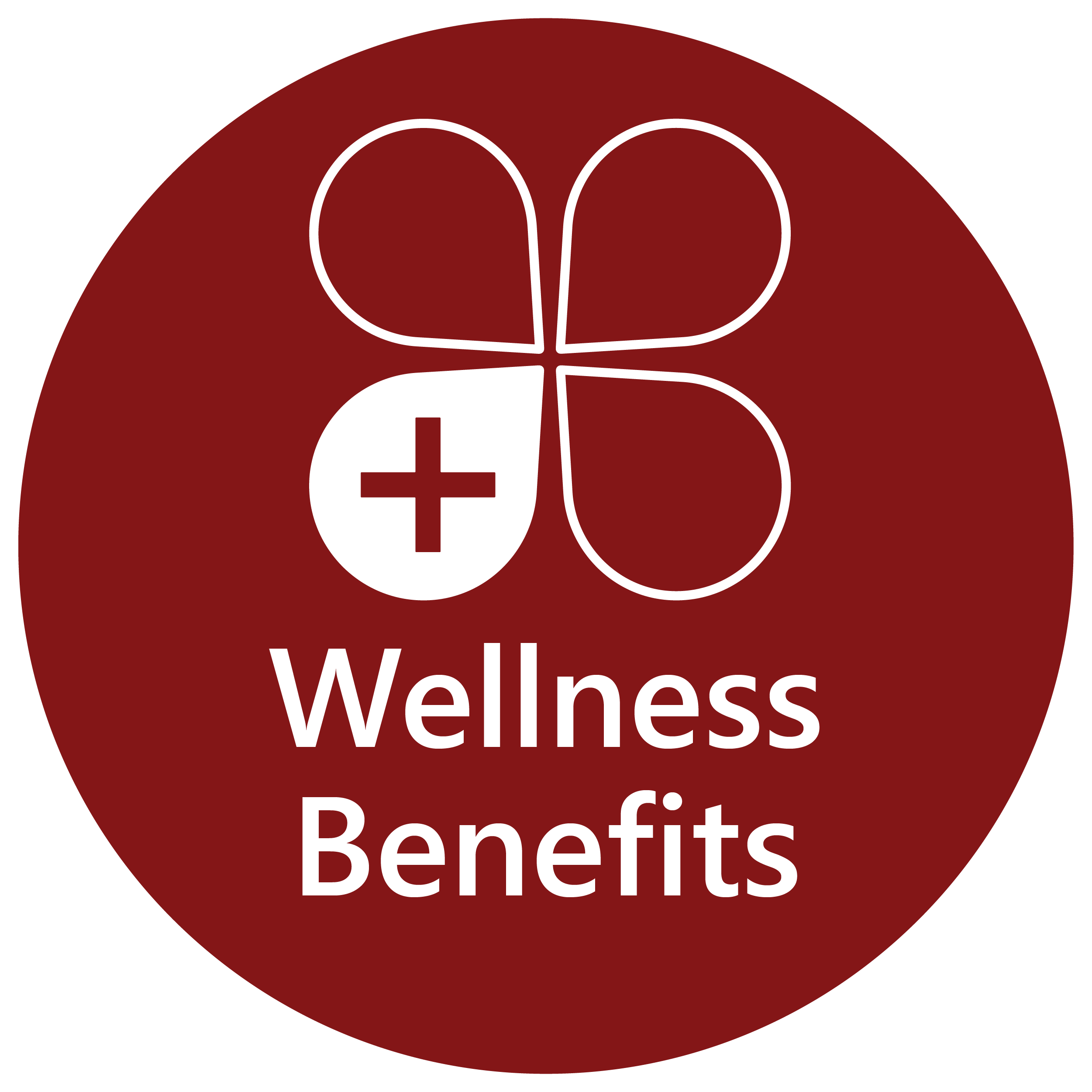 wellnessbenefits icon-10638024824800619588